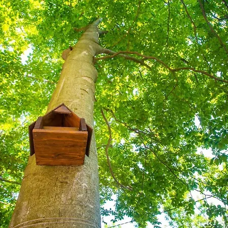 Vanda בית נופש *